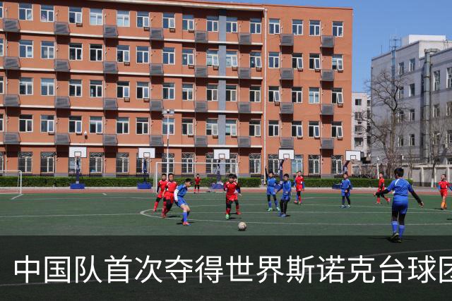 中国队首次夺得世界斯诺克台球团体锦标赛冠军