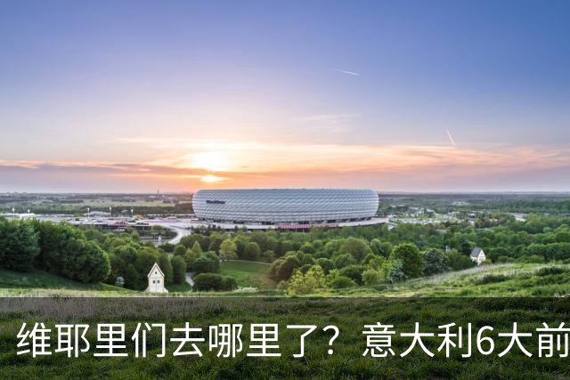 维耶里们去哪里了？意大利6大前锋没一个在踢欧冠